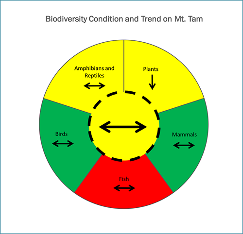 Mt. Tam's overall biodiversity as measured by aggregating groups of key health indicators