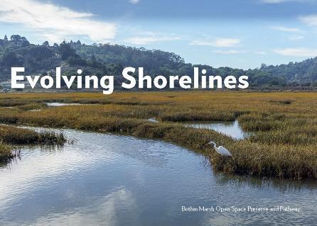 Evolving Shorelines cover image