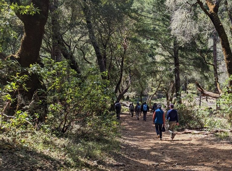 A group of people walking on a trail at bottom right, surrounded by green forest.