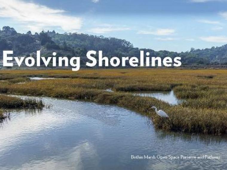 Evolving Shorelines cover image